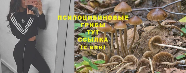 соль курить ск Балахна